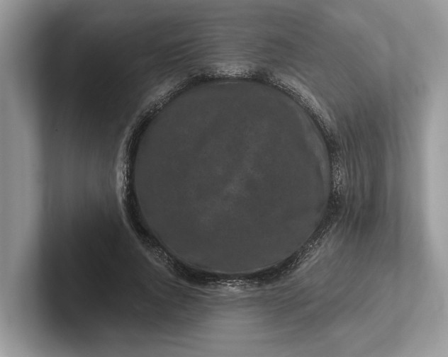 X0000101460736200807211333