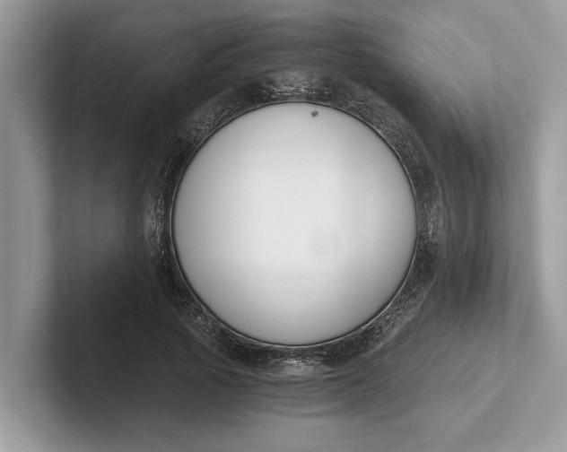 X0000101460737200807211333