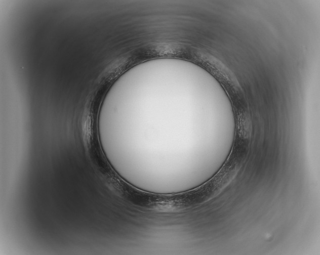 X0000101460740200807211333