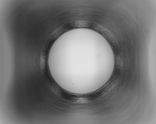 X0000101460741200807211333