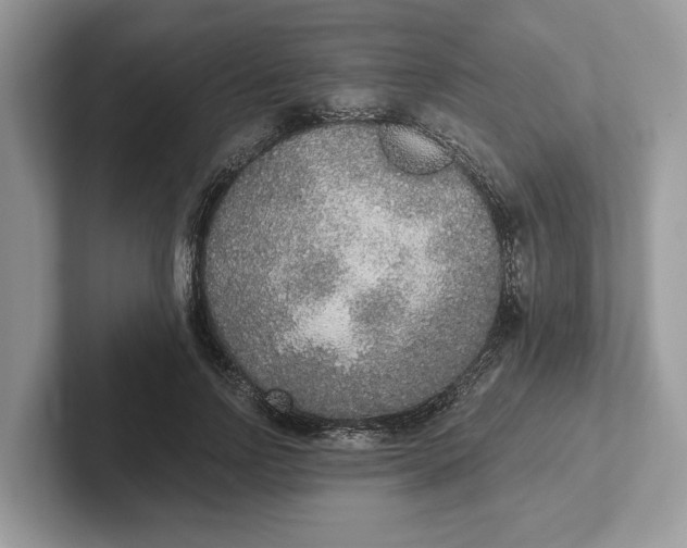 X0000101460742200807211333