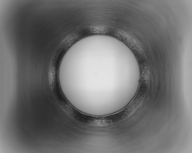 X0000101460744200807211333