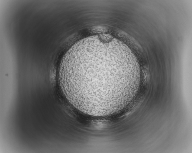 X0000101460745200807211333