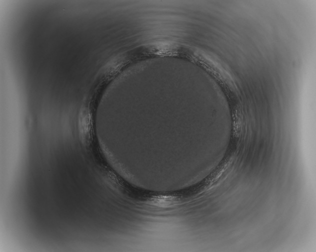 X0000101460748200807211333