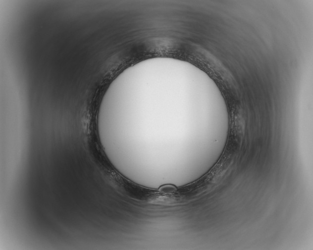 X0000101460750200807211333