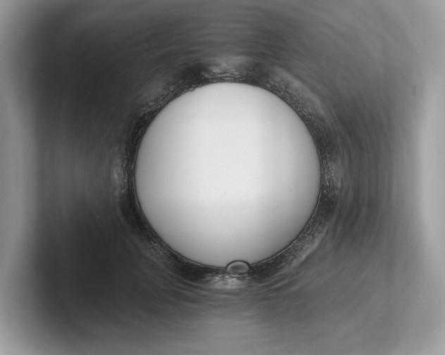 X0000101460751200807211333