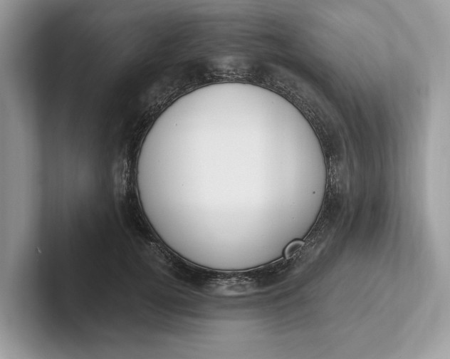 X0000101460752200807211333