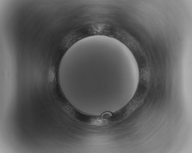 X0000101460754200807211333