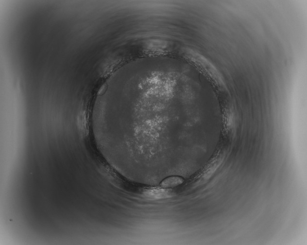 X0000101460759200807211333