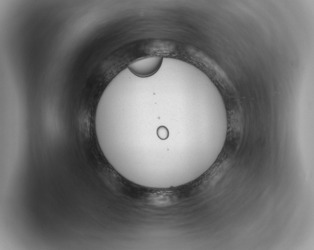 X0000101460761200807211333