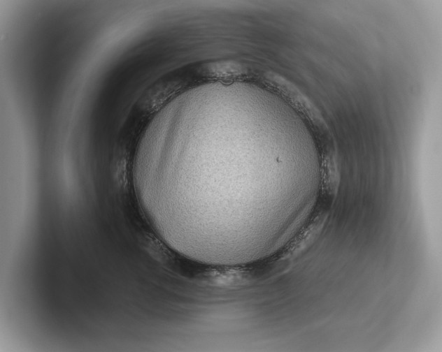 X0000101460762200807211333