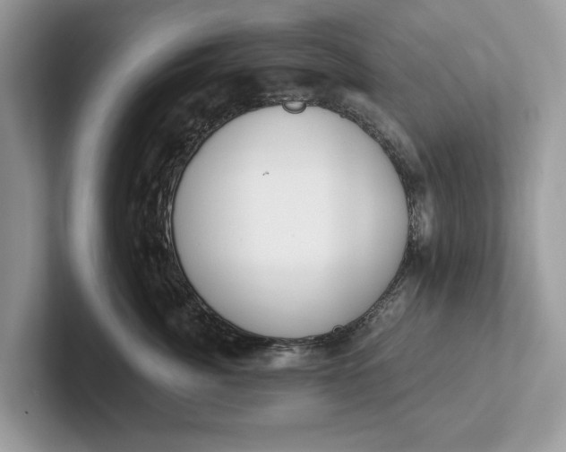 X0000101460764200807211333