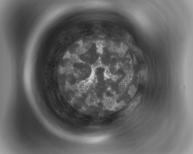 X0000101460765200807211333