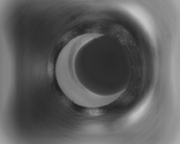 X0000101460767200807211333