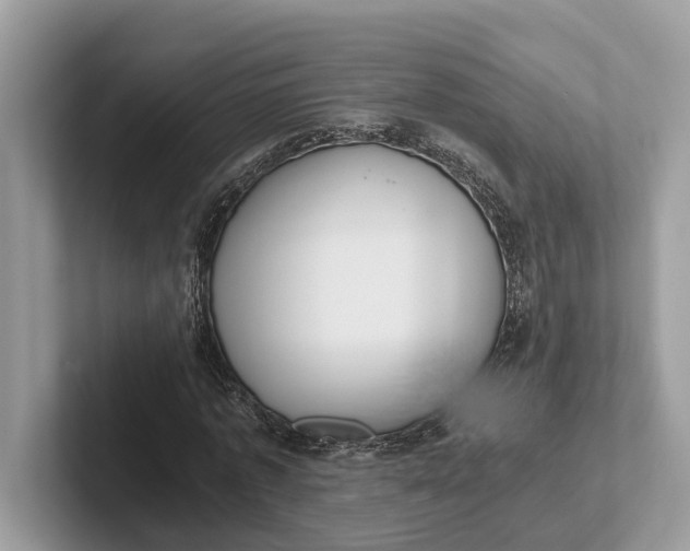 X0000101460773200807211332