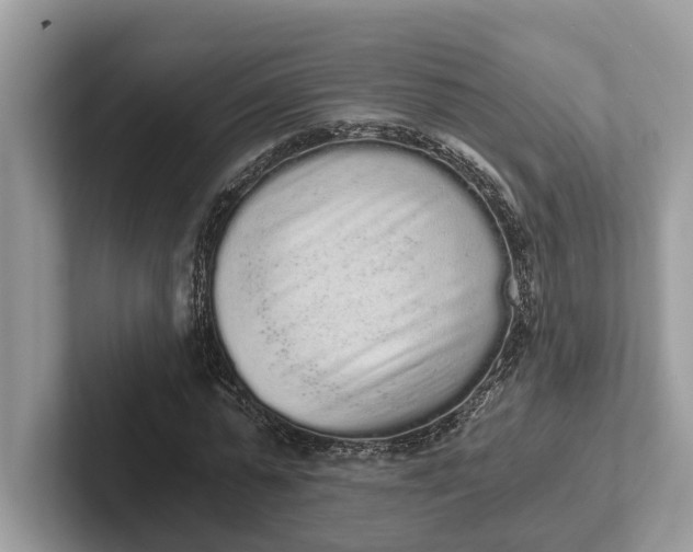 X0000101460775200807211332