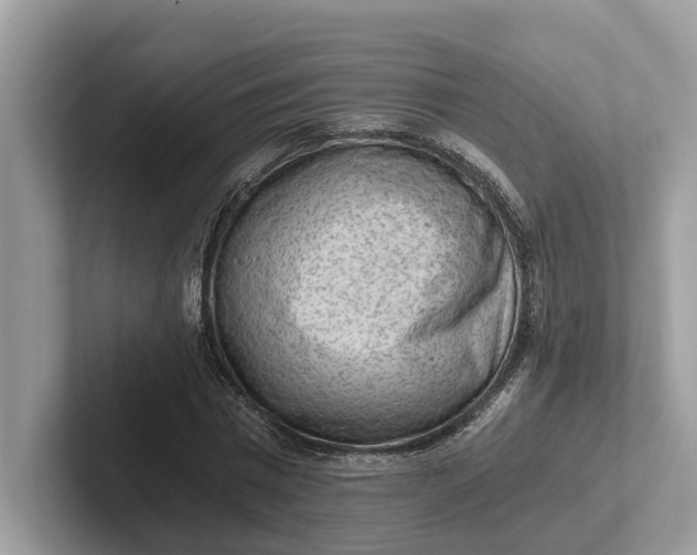 X0000101460777200807211332