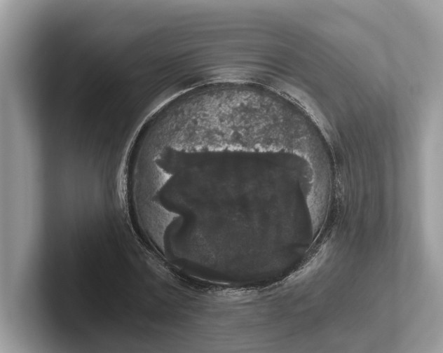 X0000101460779200807211332