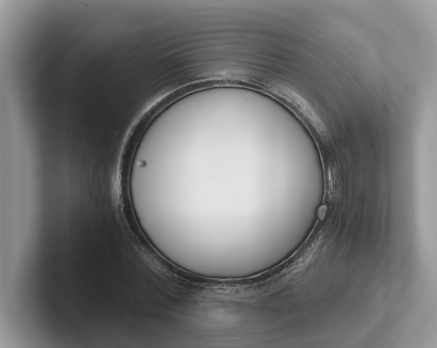 X0000101460780200807211332