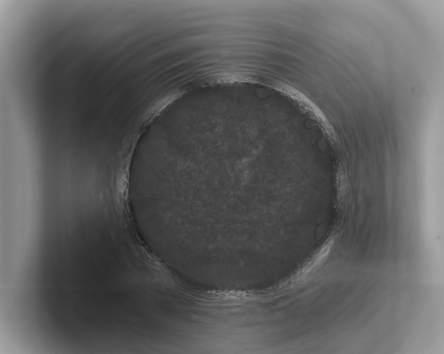 X0000101460785200807211332