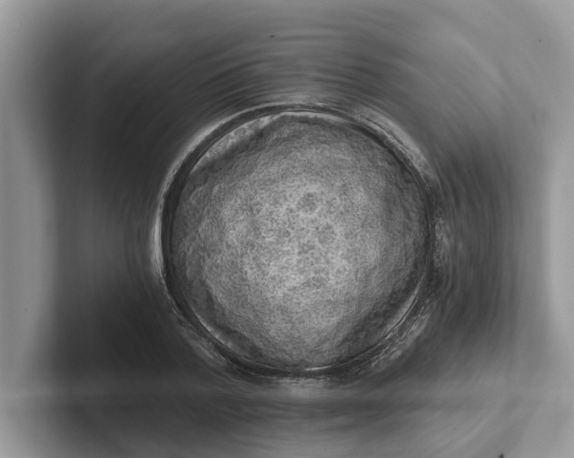 X0000101460788200807211332