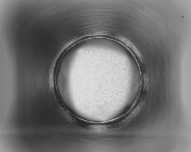 X0000101460789200807211332