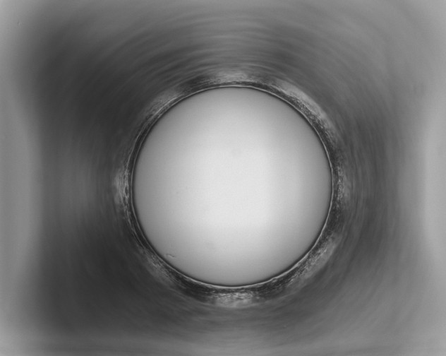 X0000101460793200807211332