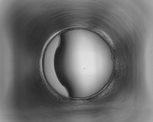X0000101460796200807211332