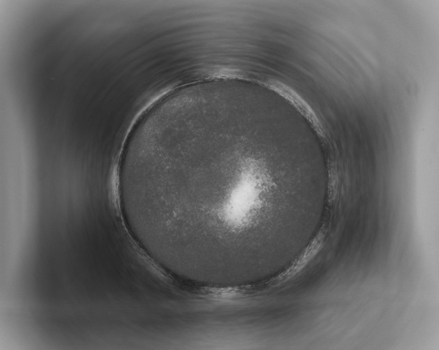 X0000101460798200807211332