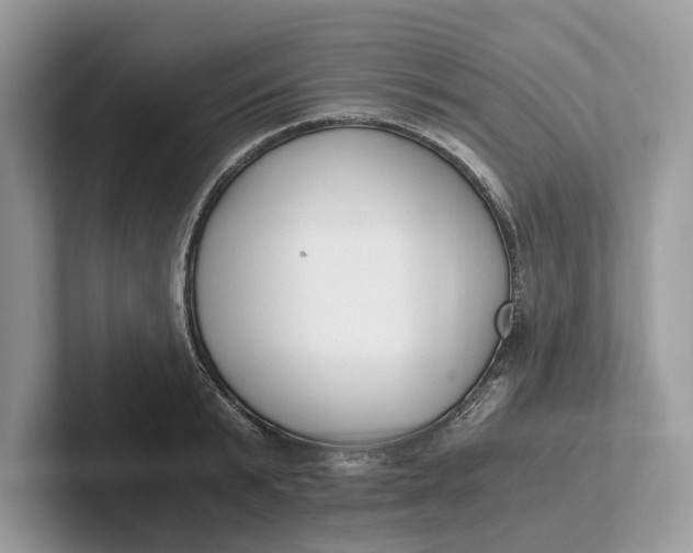 X0000101460799200807211332