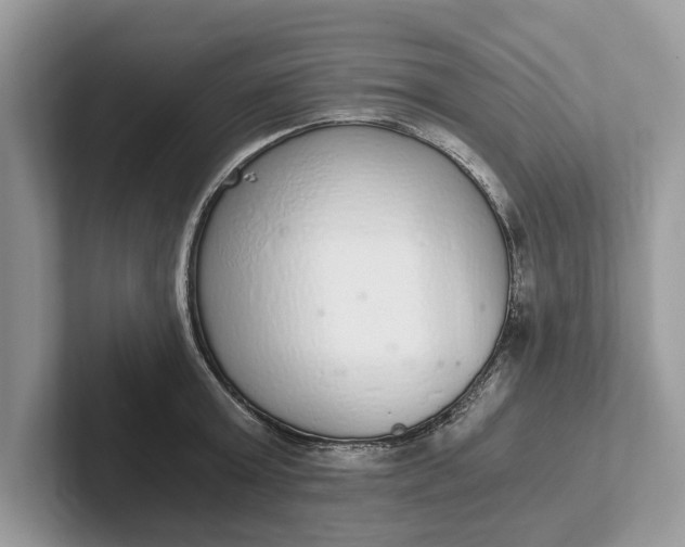 X0000101460803200807211332