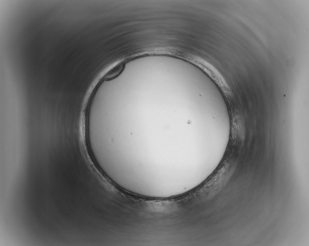 X0000101460804200807211332