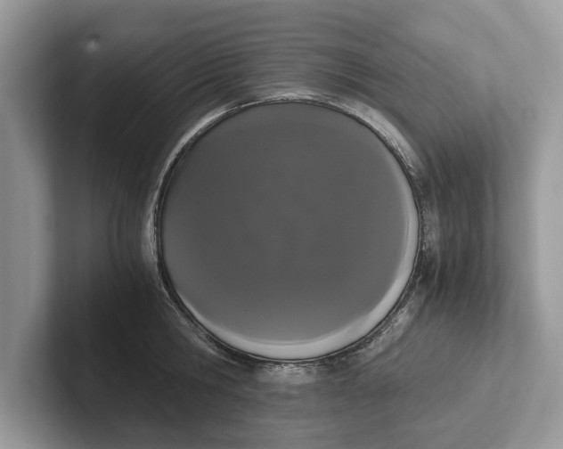 X0000101460806200807211332