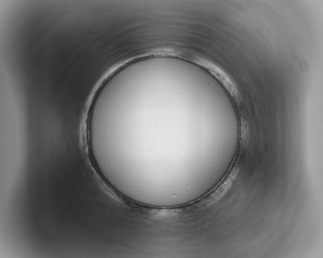 X0000101460808200807211332