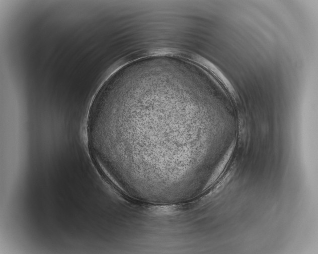 X0000101460810200807211332