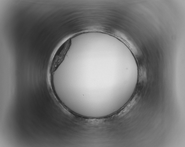 X0000101460812200807211332