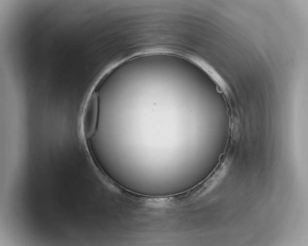 X0000101460813200807211332