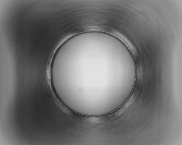 X0000101460814200807211332