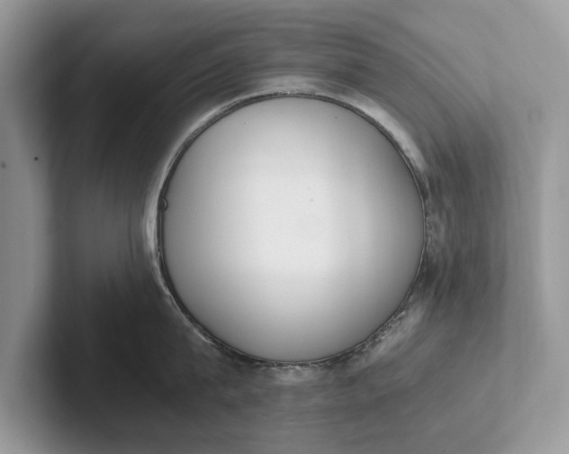 X0000101460815200807211332