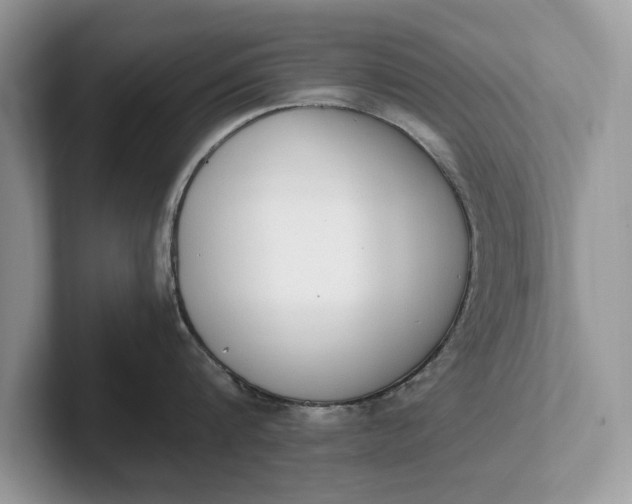 X0000101460816200807211332