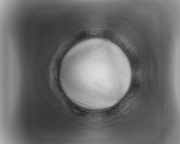 X0000101460817200807211331