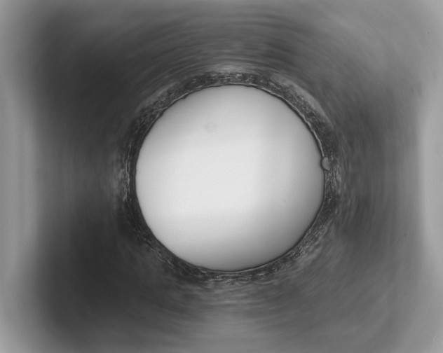 X0000101460821200807211331