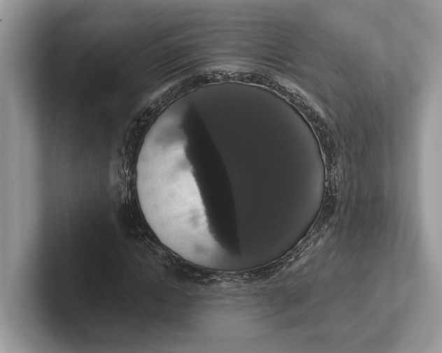 X0000101460822200807211331