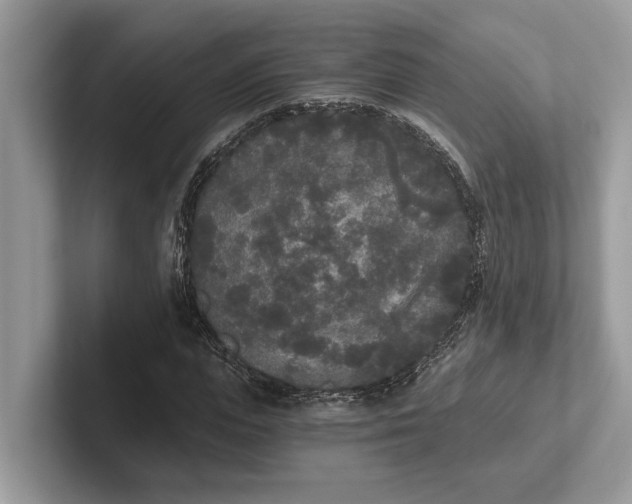 X0000101460823200807211331