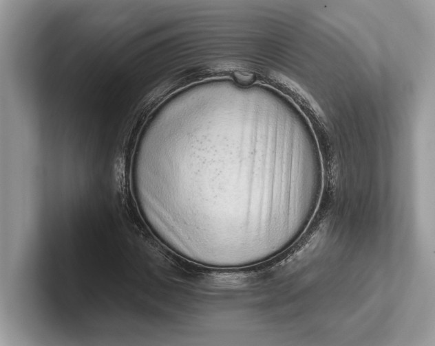 X0000101460825200807211331
