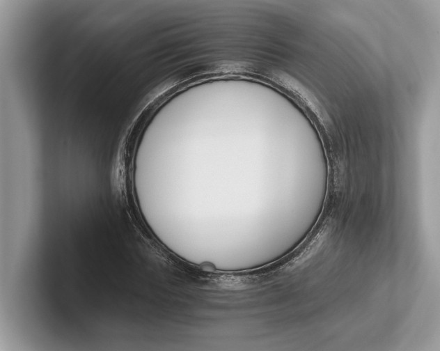 X0000101460827200807211331