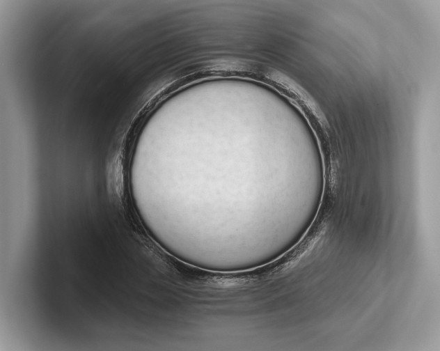 X0000101460829200807211331