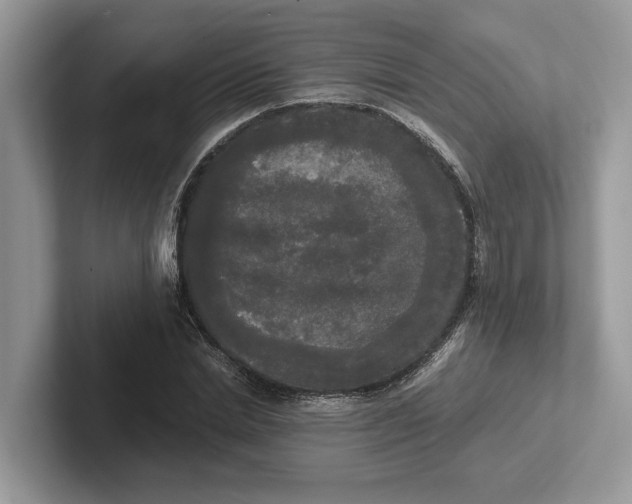 X0000101460830200807211331