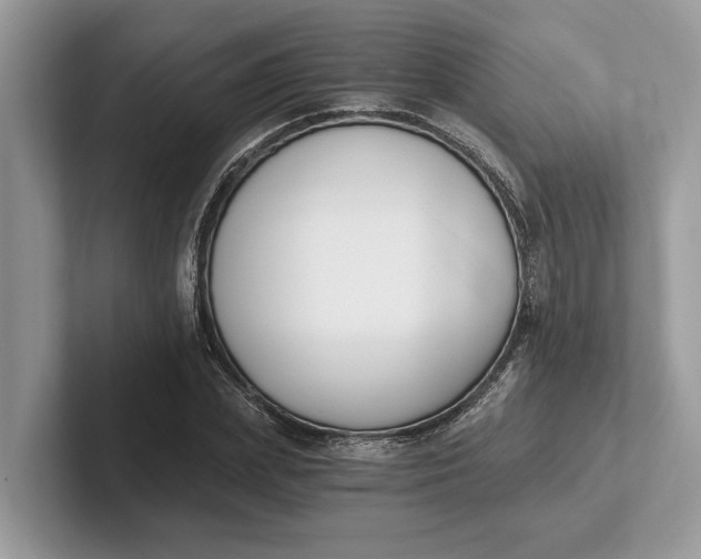 X0000101460831200807211331