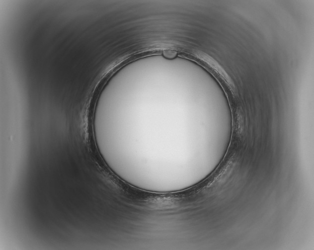 X0000101460834200807211331